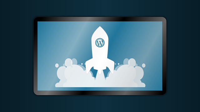 5 Situations that require you to hire a WordPress Emergency Service